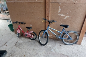 vélos1_121701.jpg